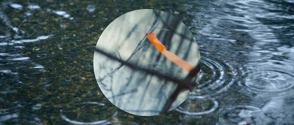 Impactist Weather Still Frame 30