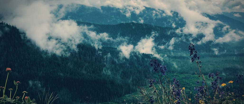 Impactist Weather Still Frame 19