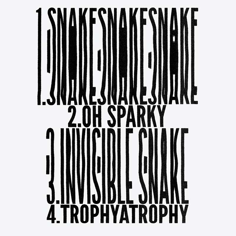 Invisible Snake EP Back