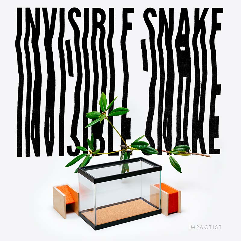 Invisible Snake EP Cover