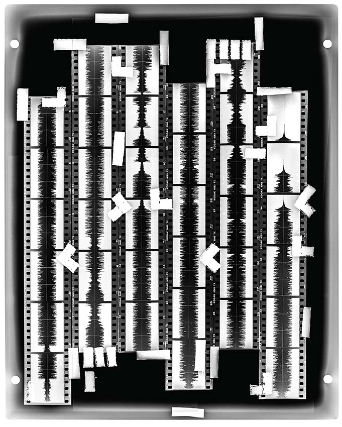 Impactist Trophyatrophy Back Page