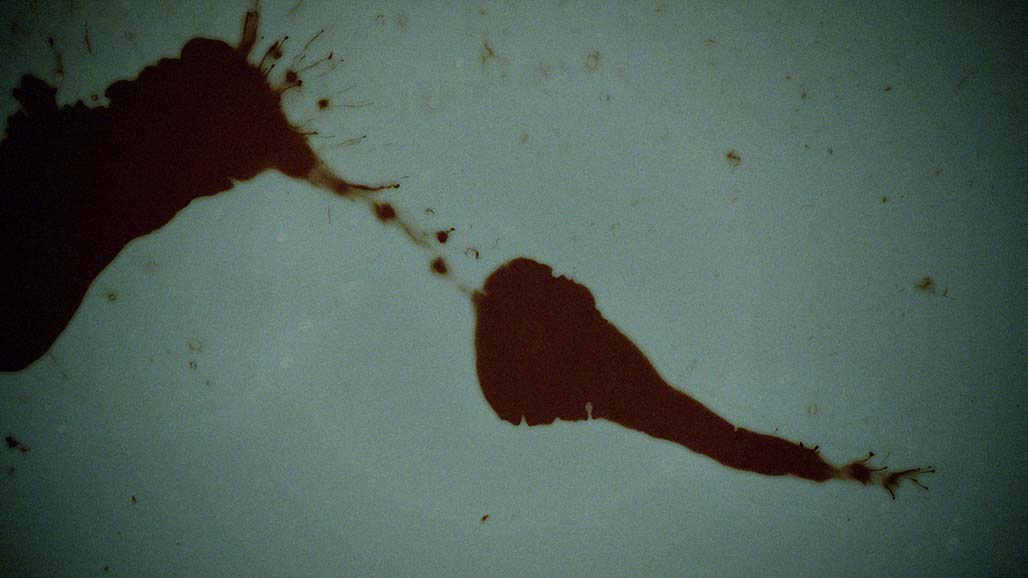 Impactist FX The Bridge Still Frame 09