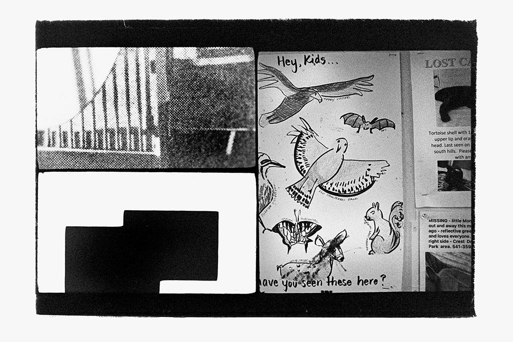 IMPACTIST TRIPLE-FRAME 13