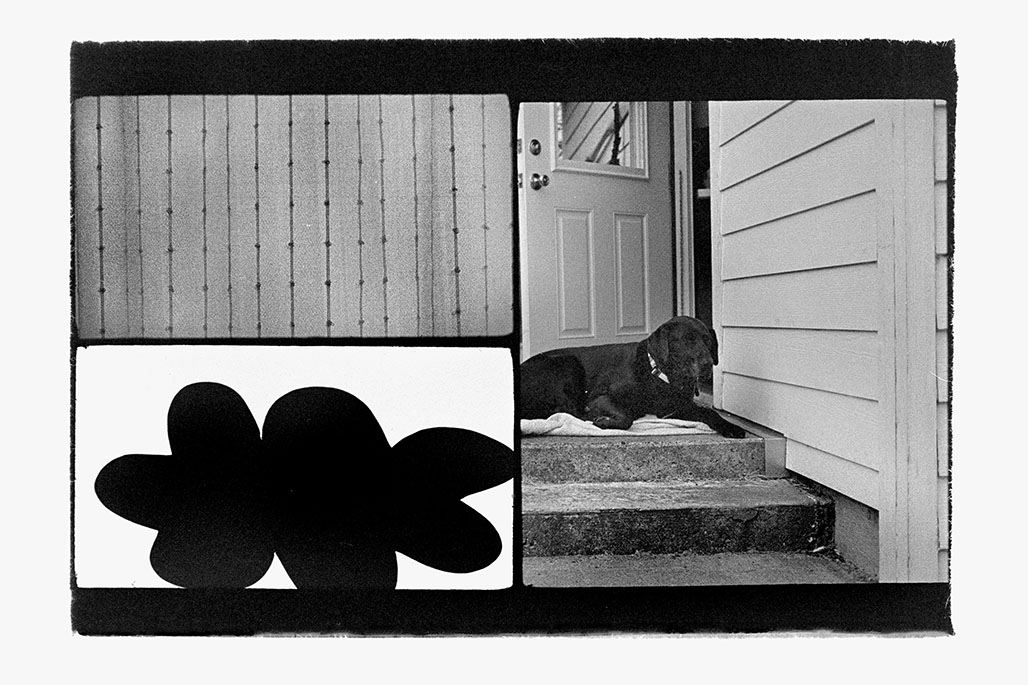 IMPACTIST TRIPLE-FRAME 33