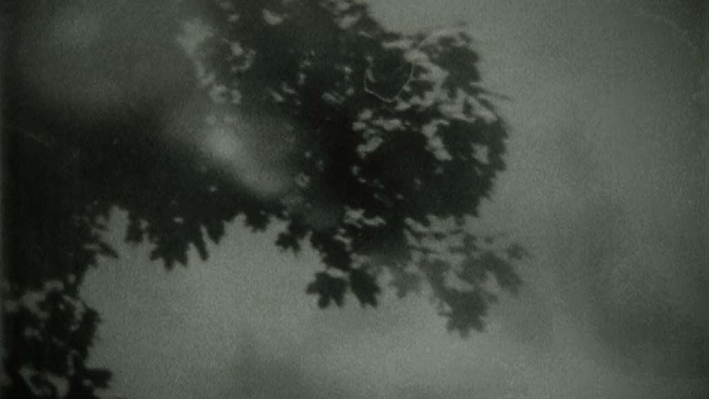 Impactist The Type Writer Still Frame 03