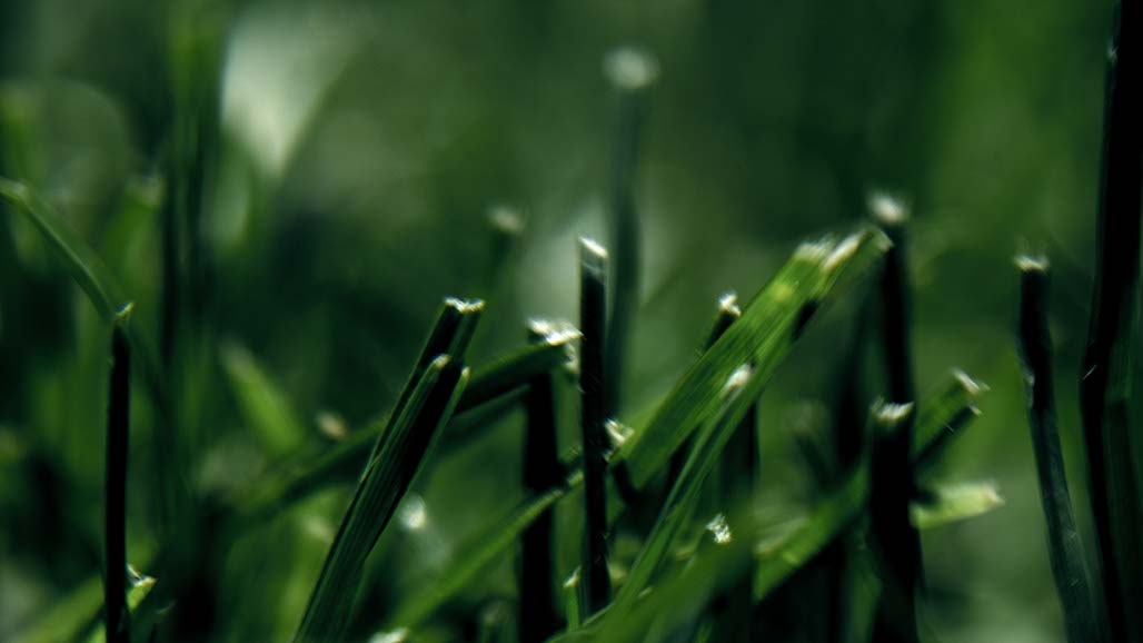 Impactist The Type Writer Still Frame 10