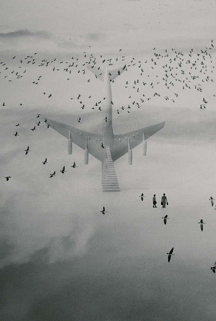 Impactist TZ Frame 12