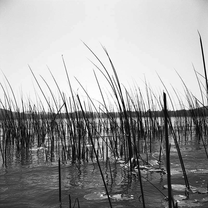 Impactist Water Image 08