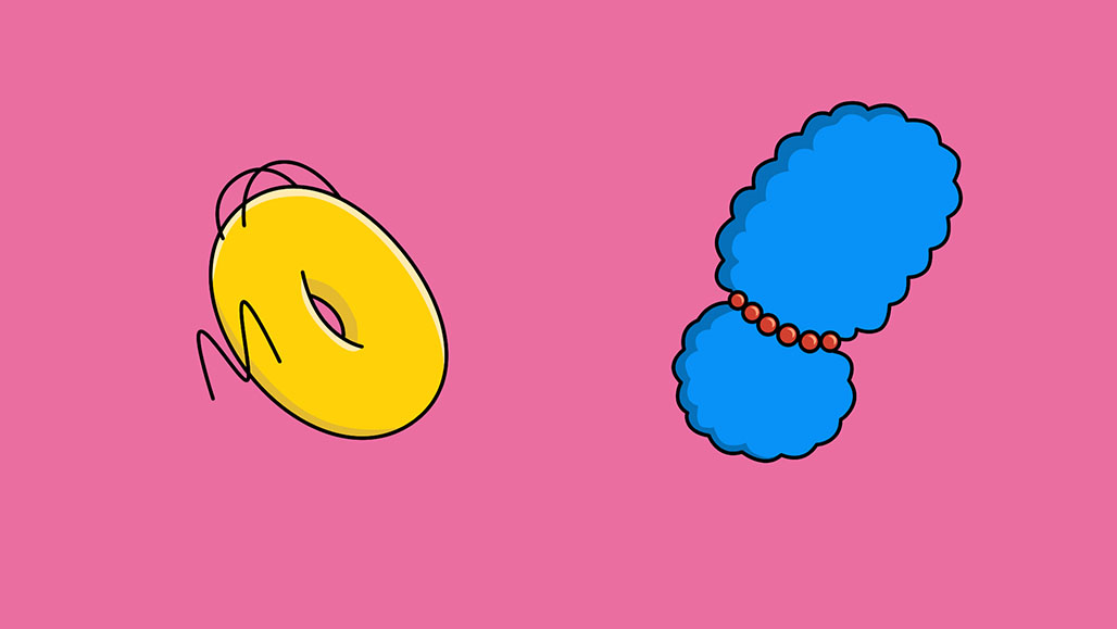 Impactist FXX The Simpsons Image