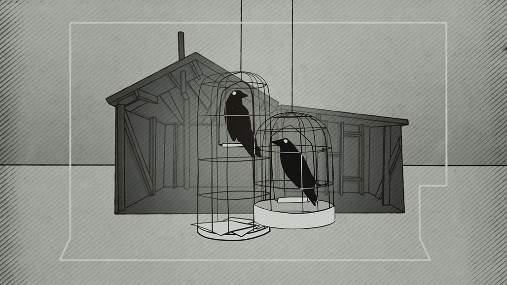 Impactist Zephyr Image