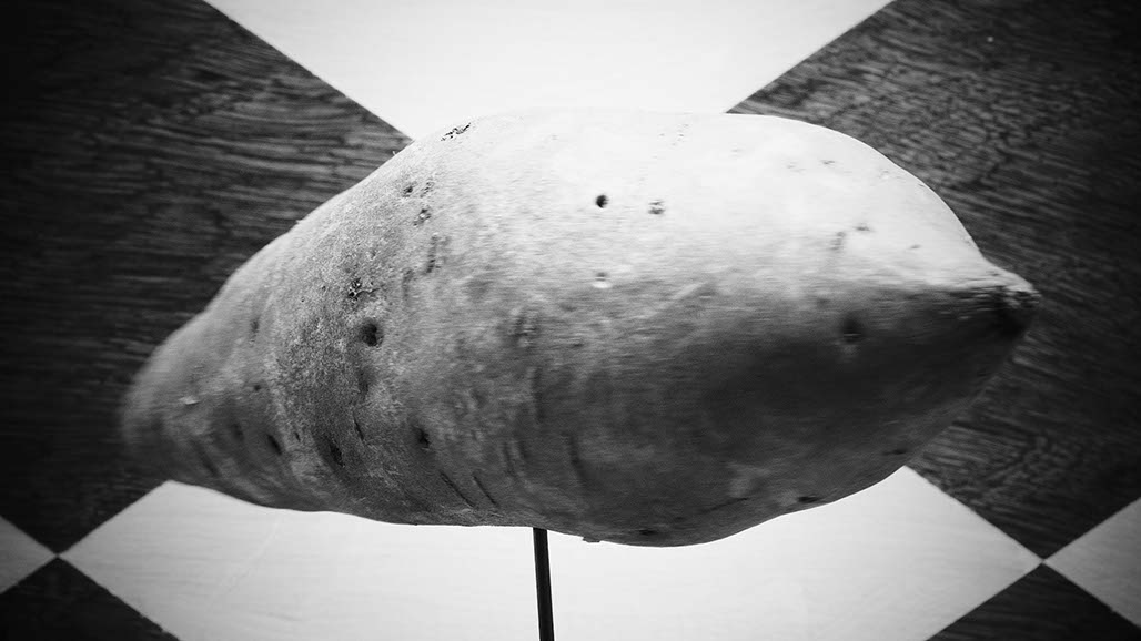 Impactist Yambient Image 02