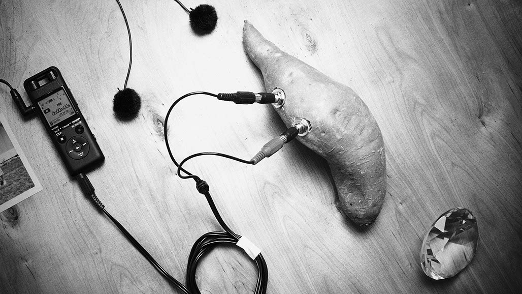 Impactist Yambient Image 03