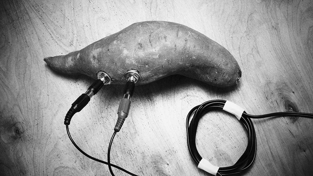 Impactist Yambient Image 01