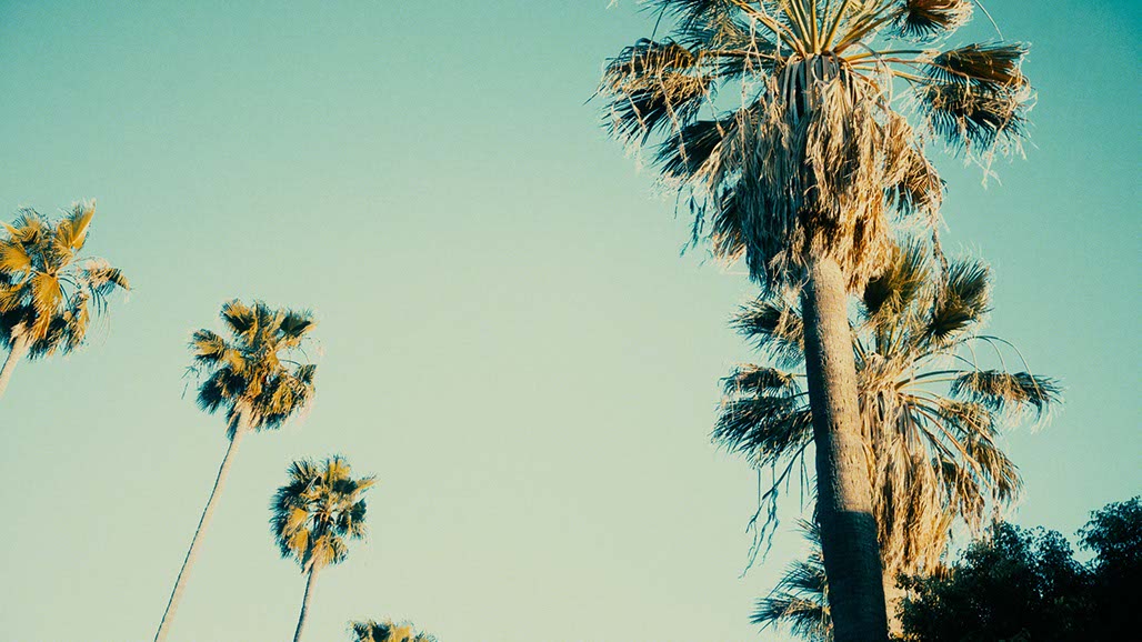 Impactist FXX YTW S5 Still Frame 26