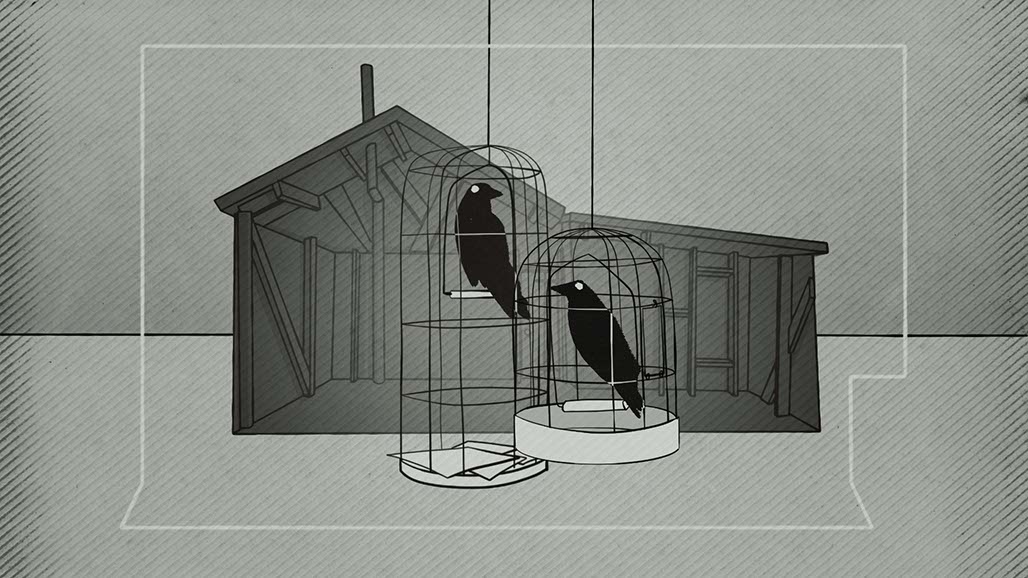 Impactist Zephyr Still Frame 01