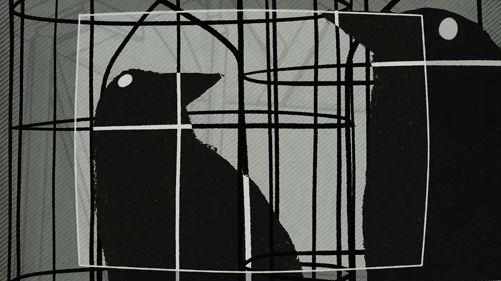 Impactist Zephyr Still Frame 05